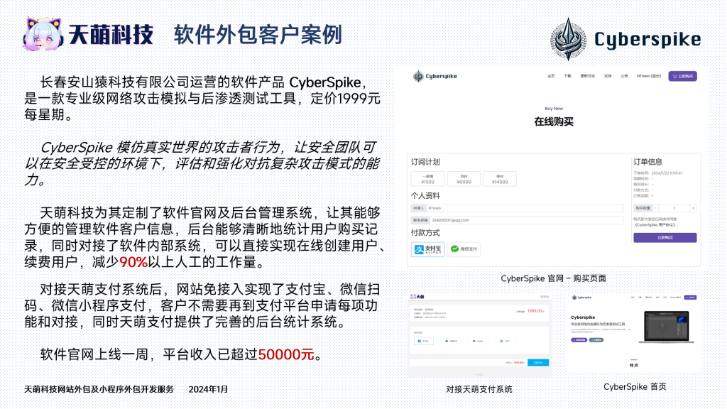 [网站定制] 案例展示 —— CyberSpike